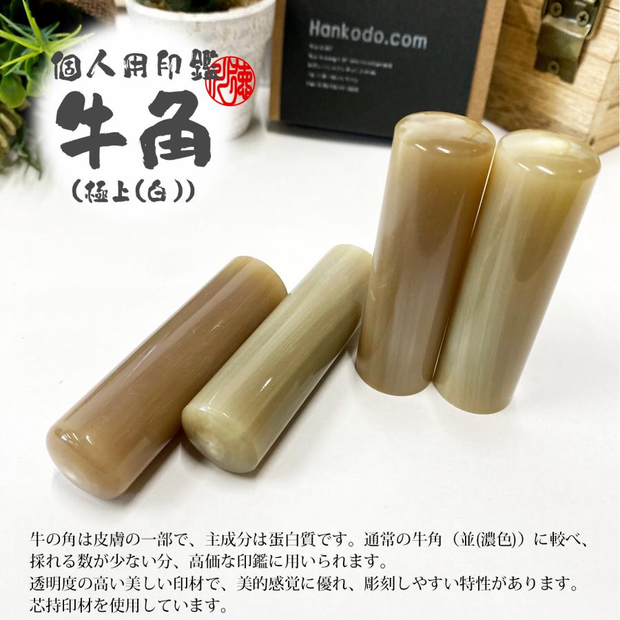 牛角極上(白)の銀行印｜はんこ堂の高級印鑑を徹底レビュー